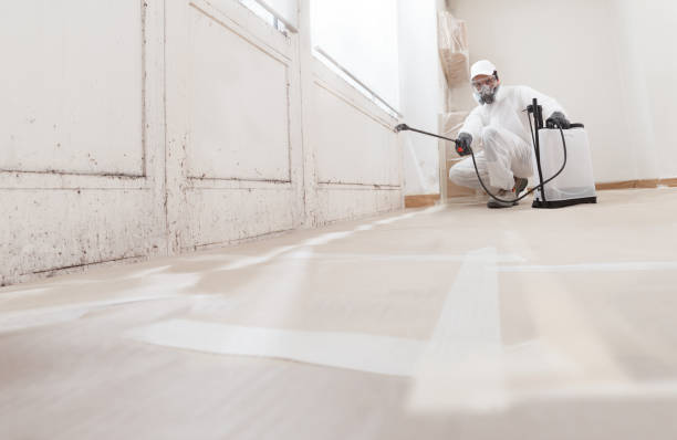 24/7 Emergency Basement Mold Remediation experts in New Columbia, PA